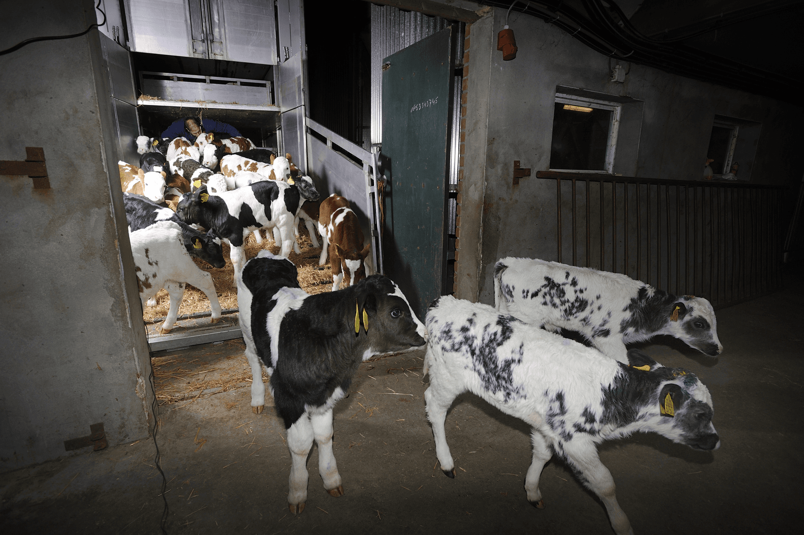 Foto: Frank Uijlenbroek