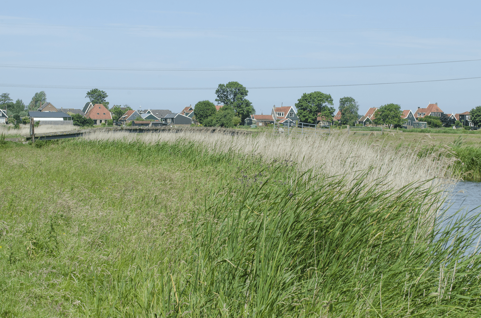Beweiden en bemesten toch weer bij de rechter