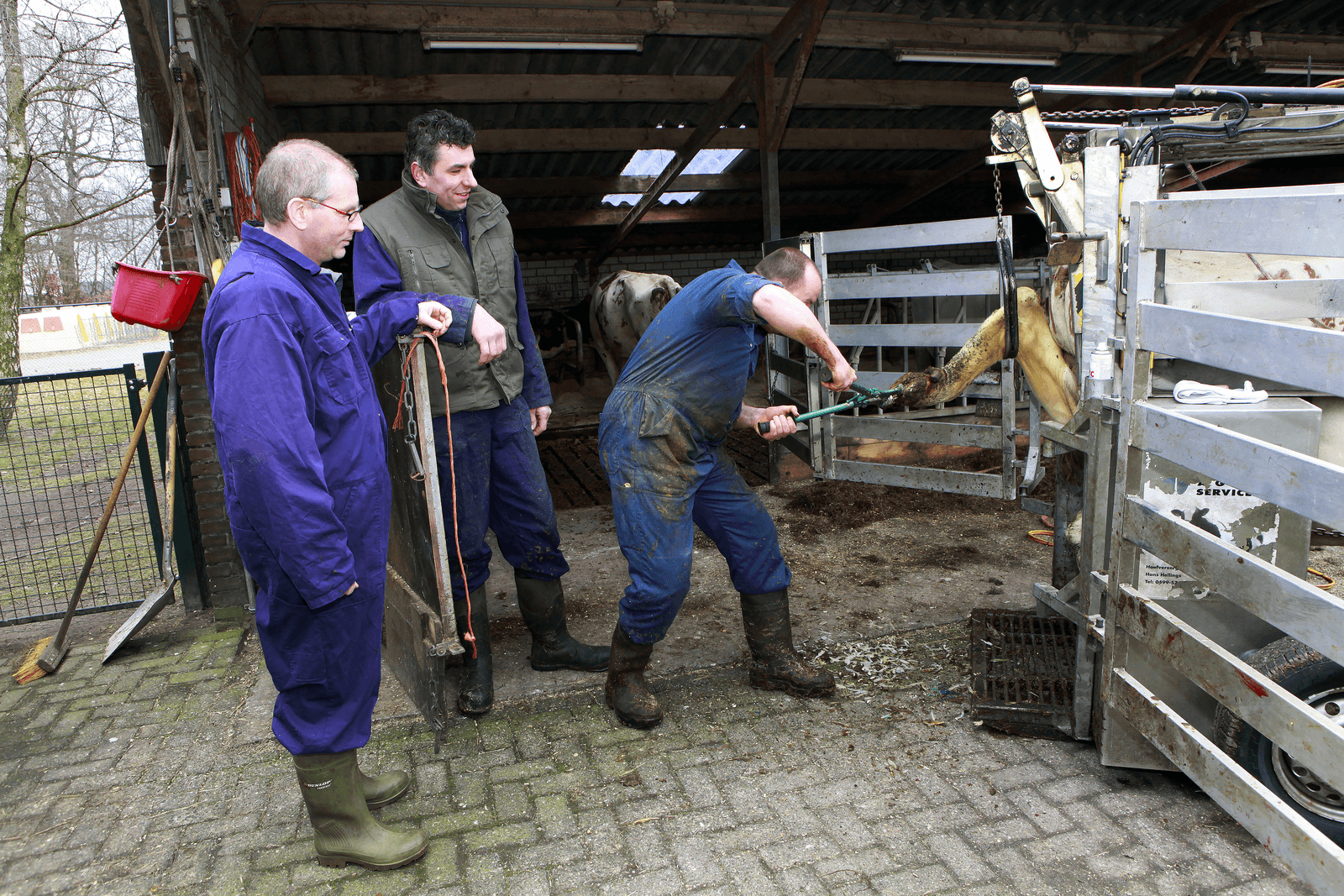 Foto: Henk Riswick