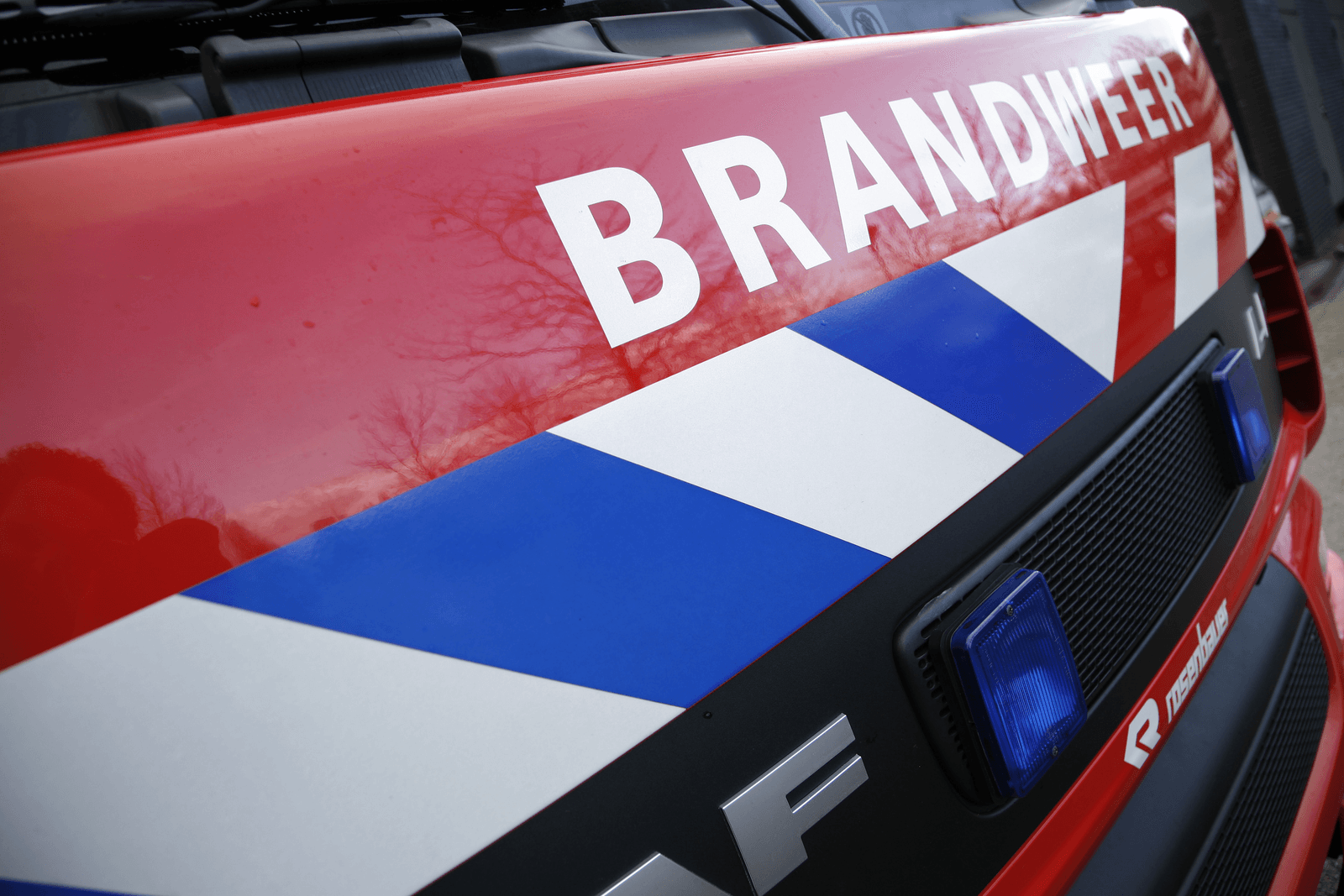 Honderden varkens dood door brand