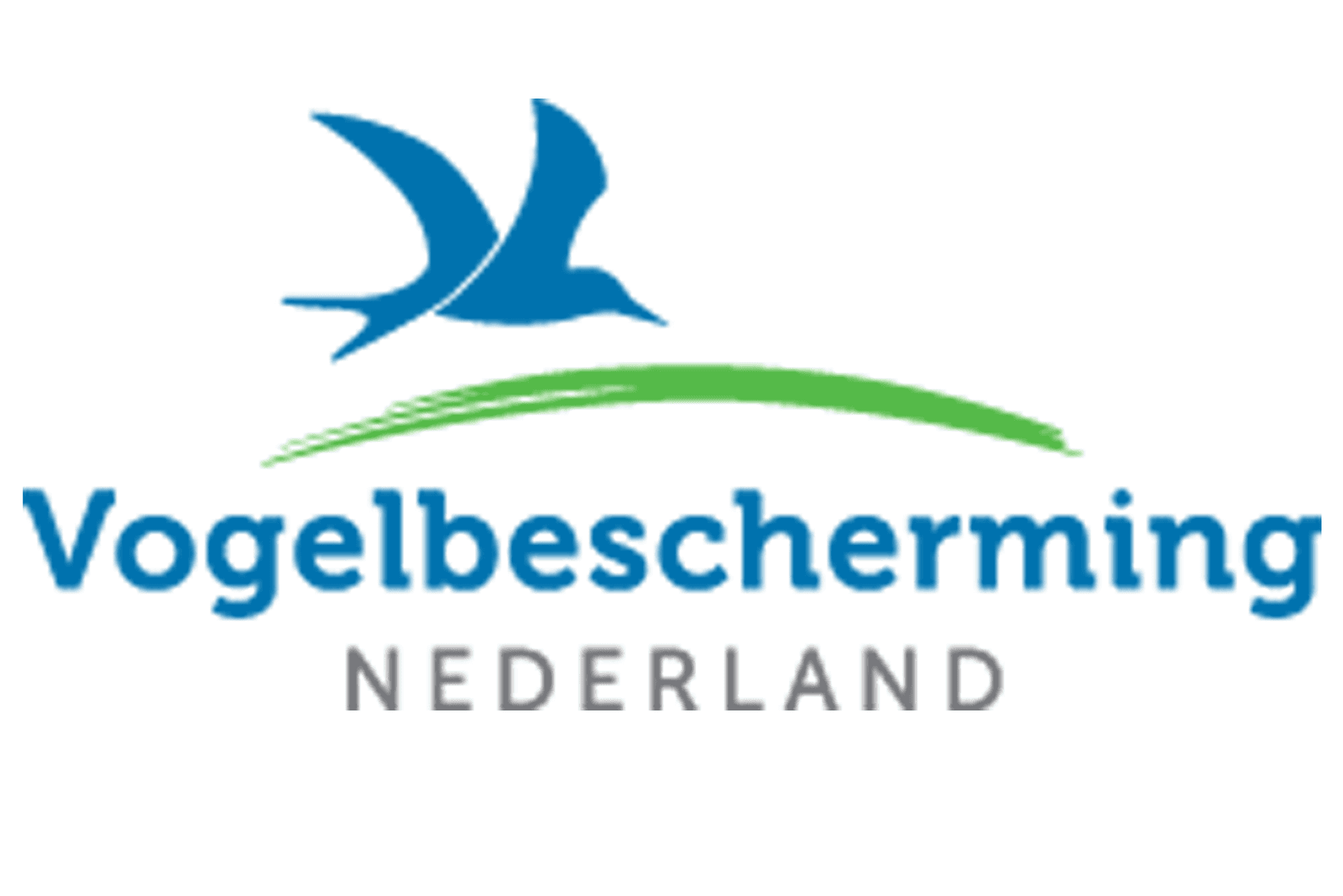 Vogelbescherming tegen afschot smienten