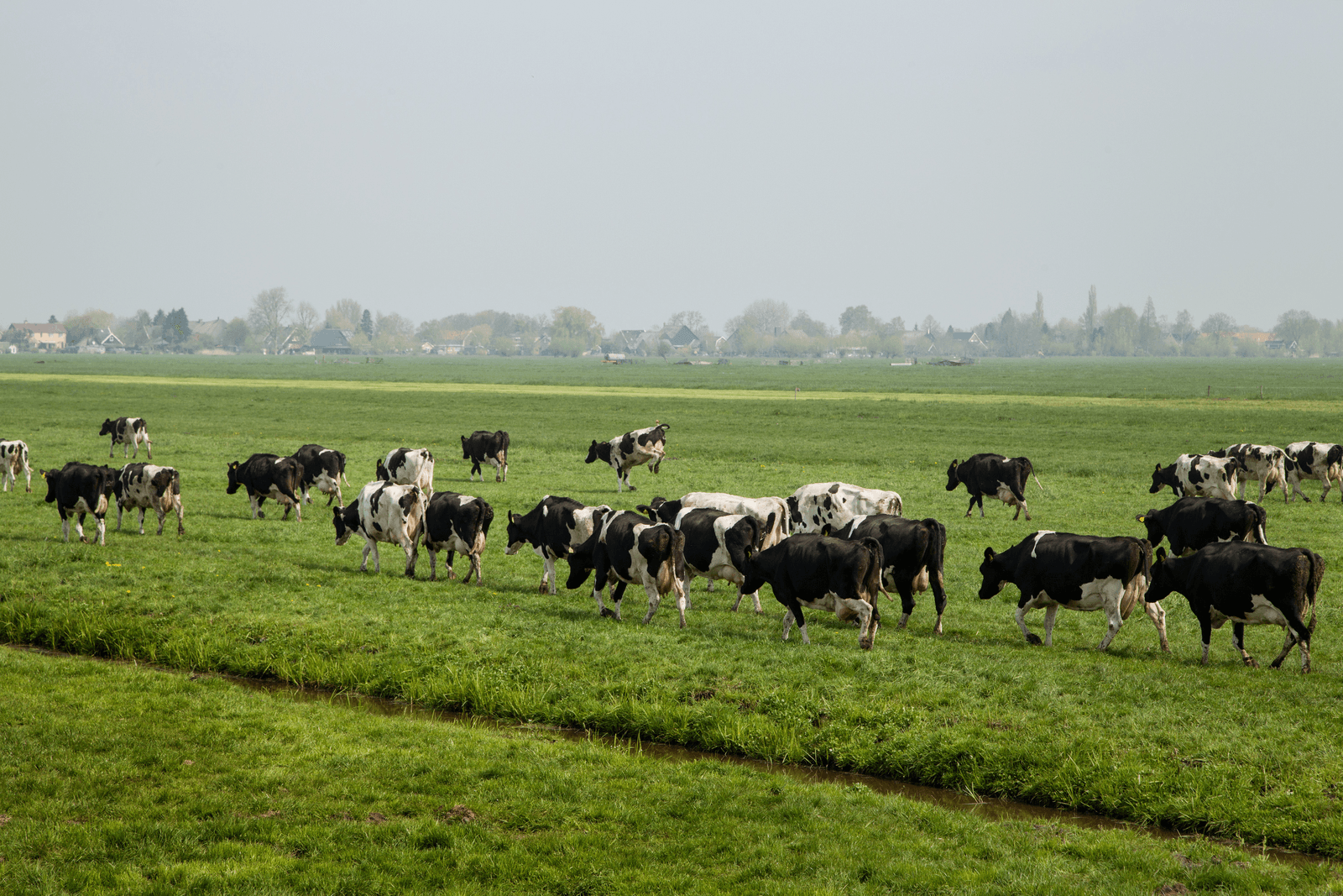 Foto: Herbert Wiggerman