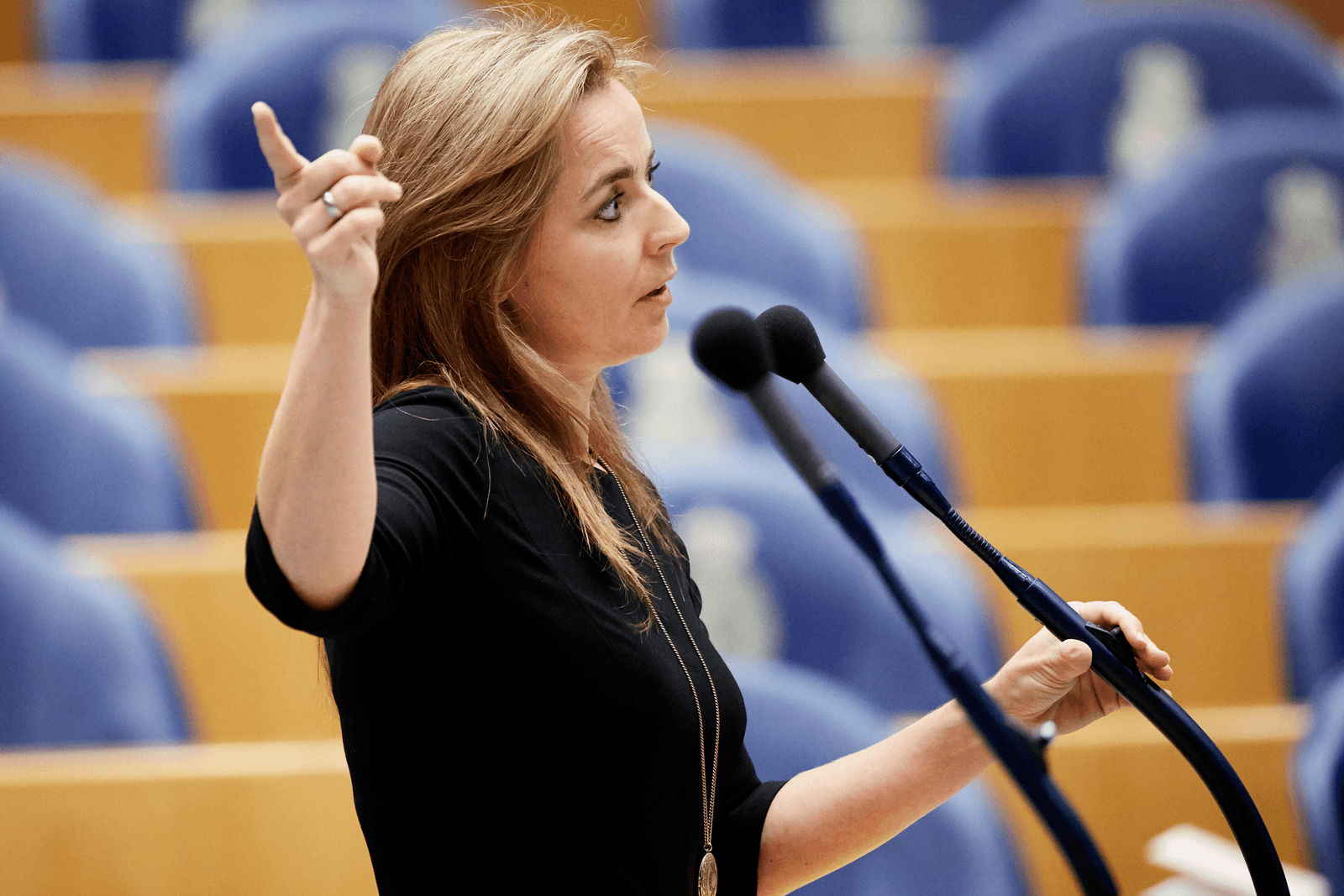 Marianne Thieme (PvdD)<br /><em>Foto: ANP </em>