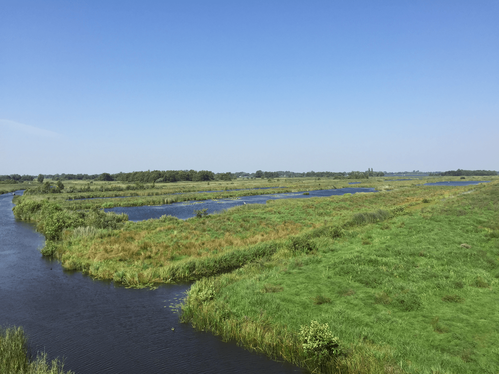 Stikstofbelasting komt voor 35% uit buitenland