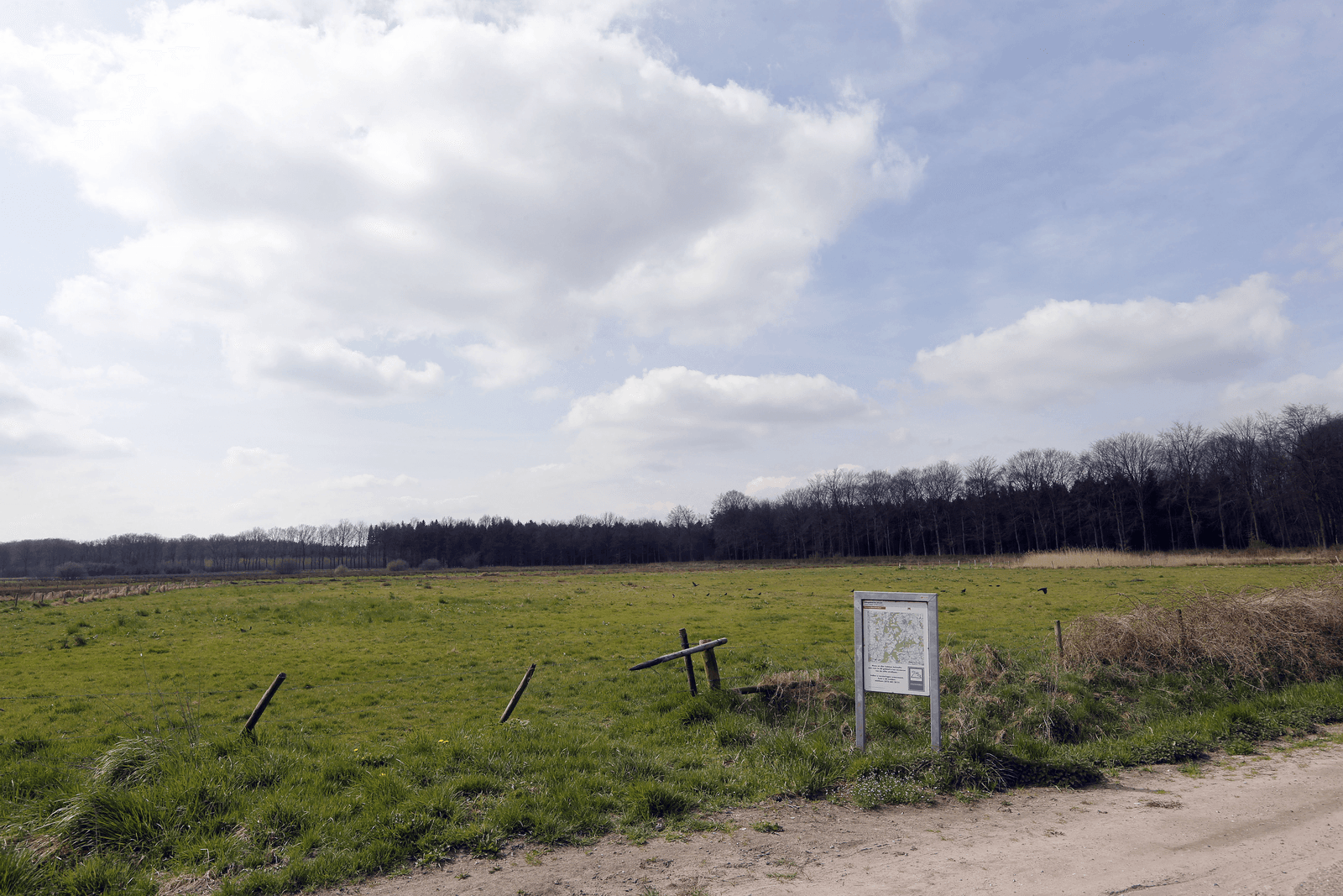 Foto: Bert Jansen