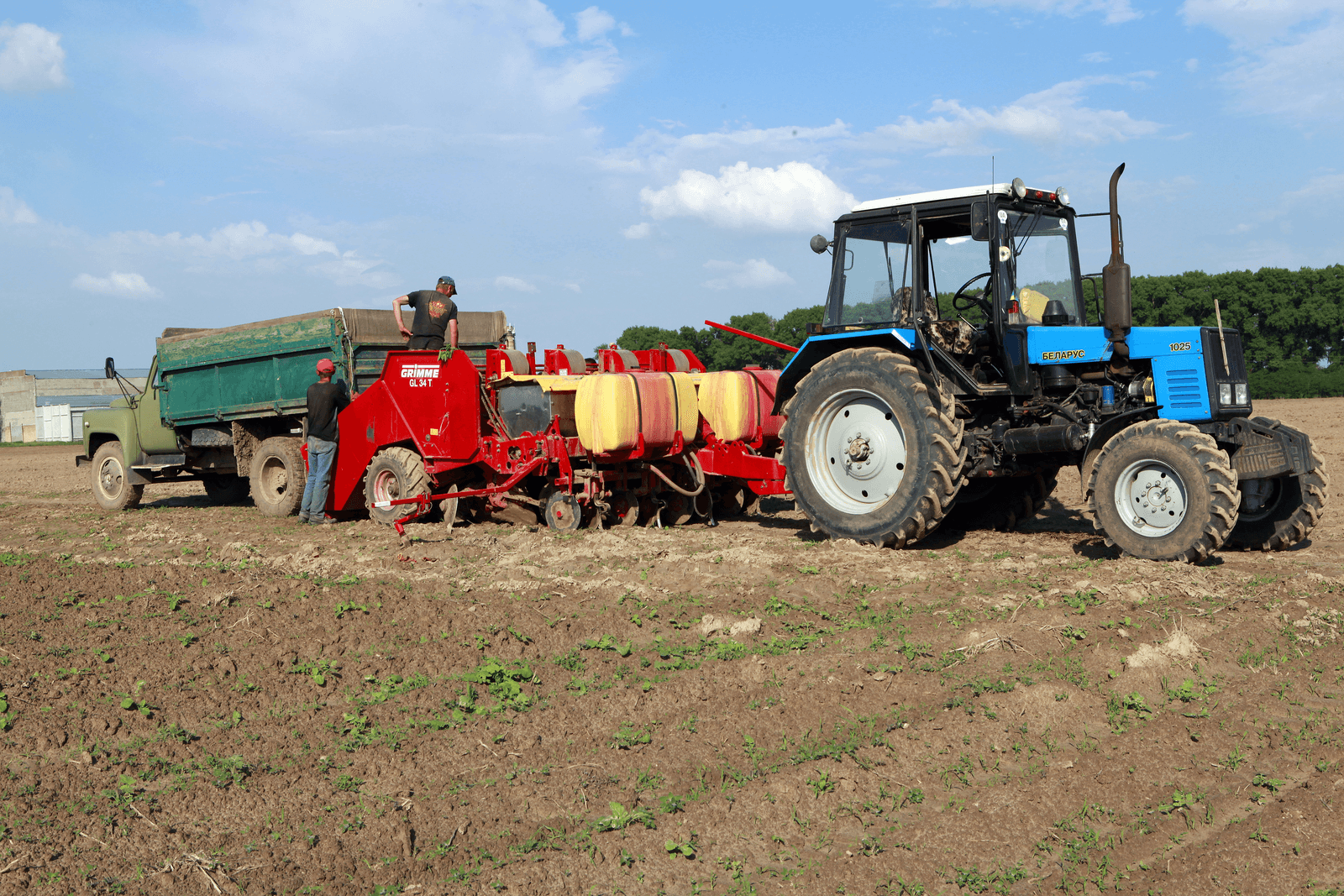 Aardappelen poten in Oekraïne.<em> <br />Foto: Henk Riswick</em>