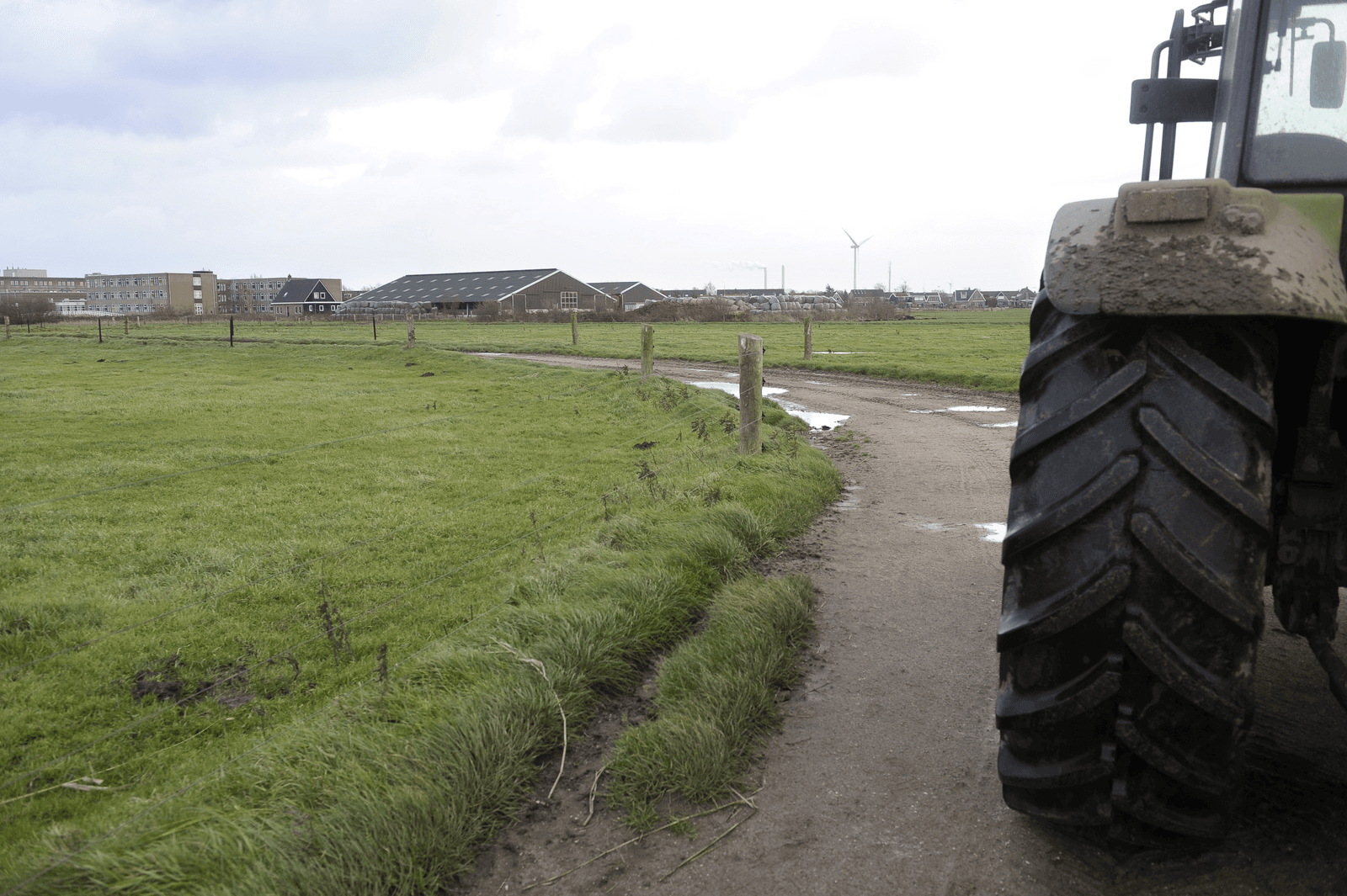 Foto: Fotopersburo Dijkstra