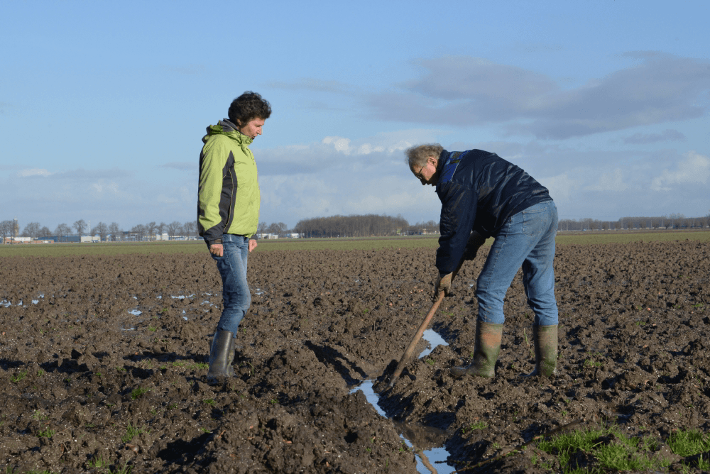 Boeren rond Schokland strijden tegen hoge waterstand