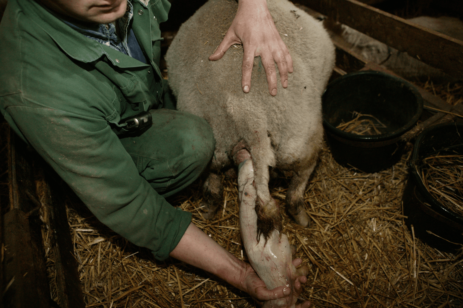 Foto: Henk Riswick