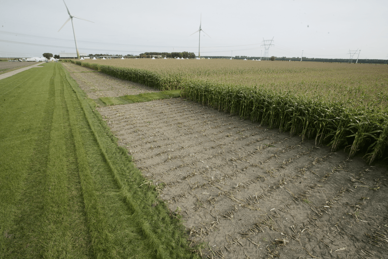 Foto: Koos Groenewold