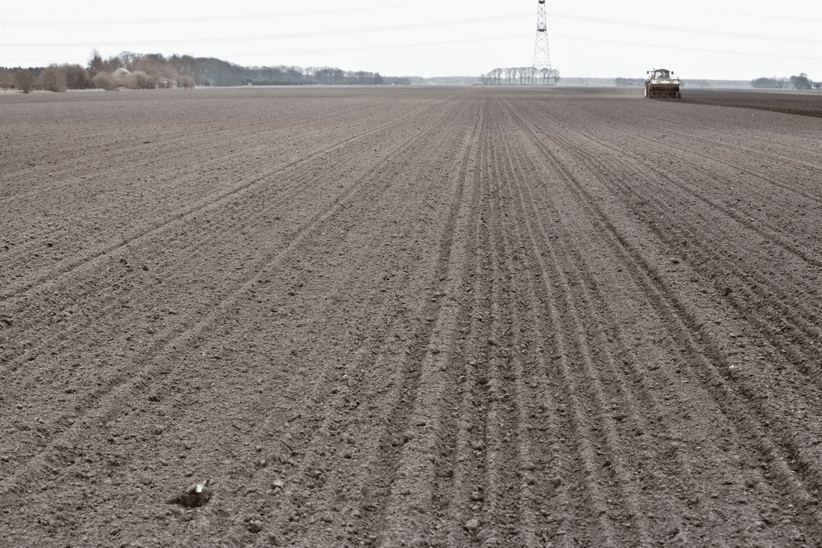 Foto: Koos Groenewold