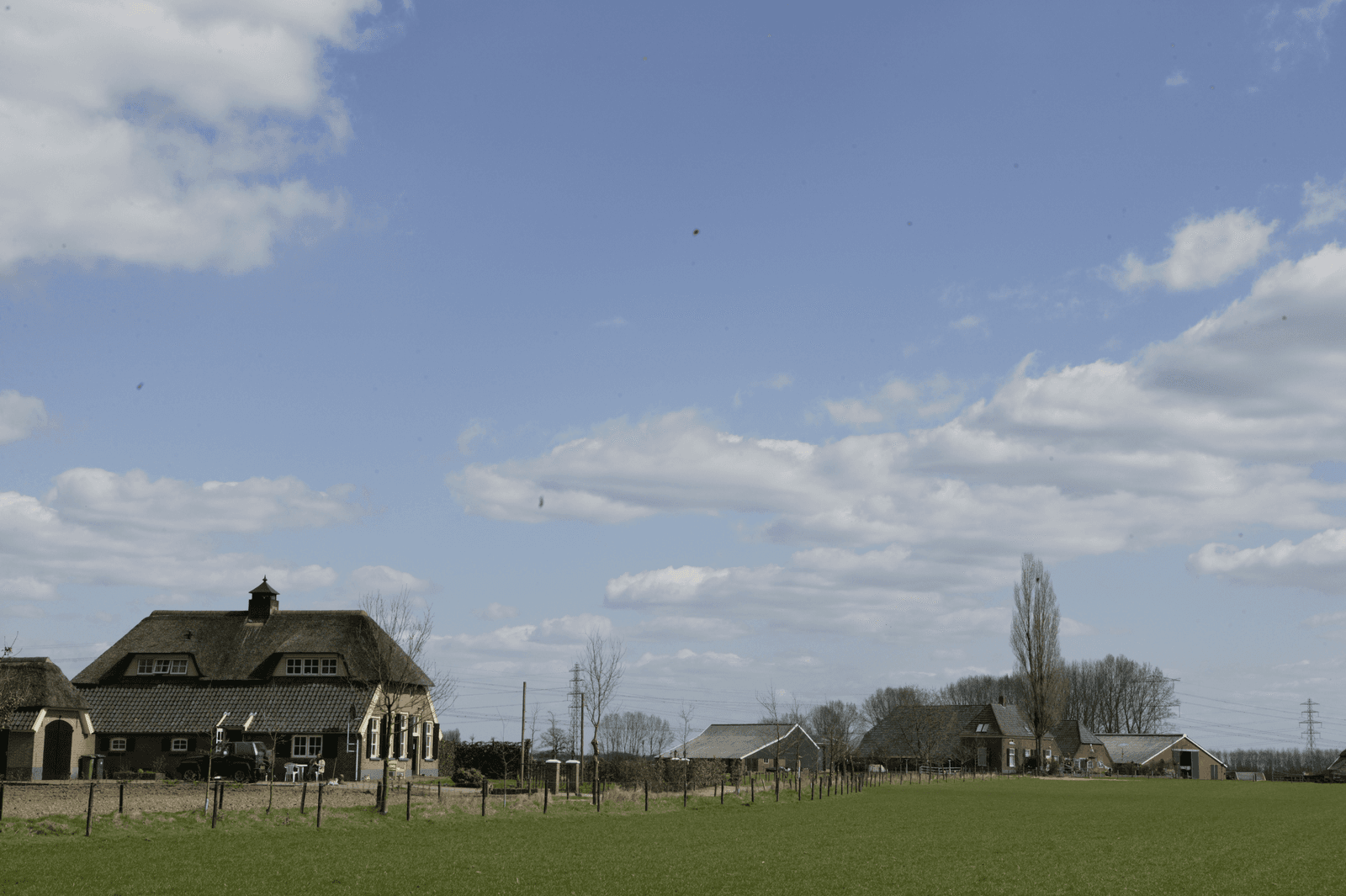 Links een voormalige boerderij verbouwd tot burgerwoning, rechts daarnaast een veehouderij in het Gelderse Baak. Foto: Mark Pasveer