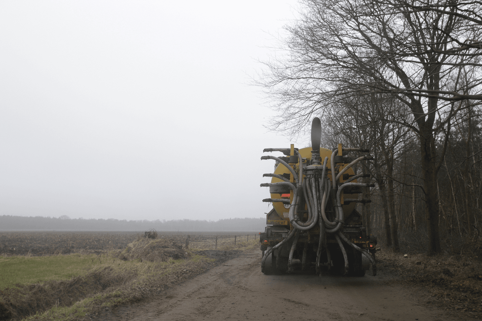 Foto: Hans Prinsen