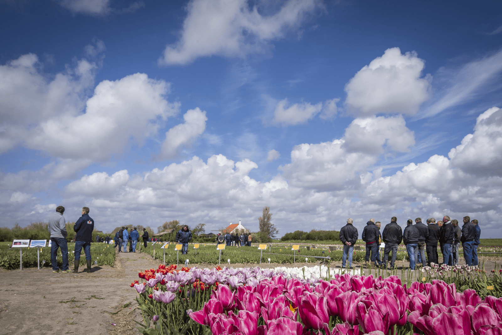 Foto: Bertil van Beek