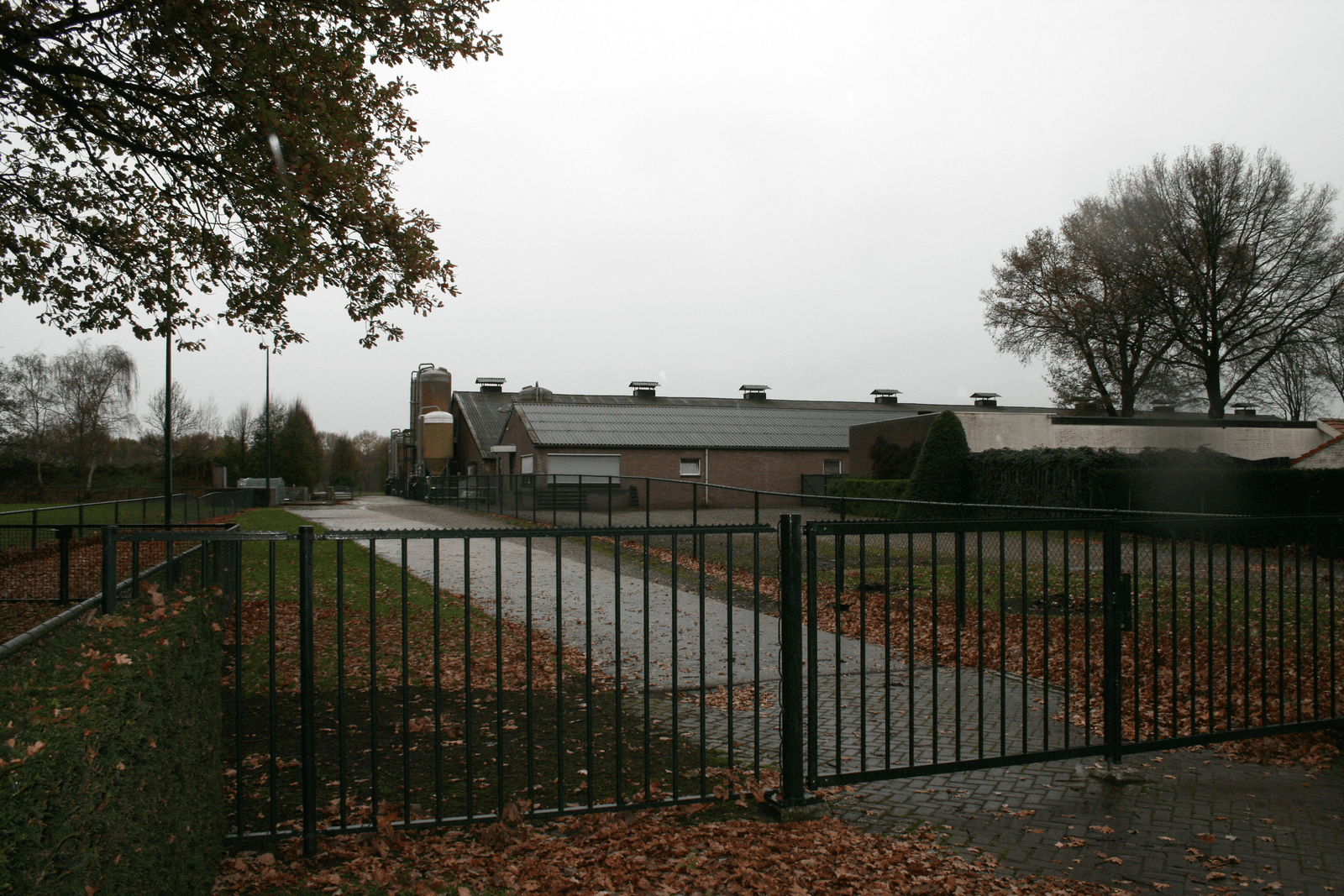 Zeugenbedrijf bij de tijd, beperkt in groei