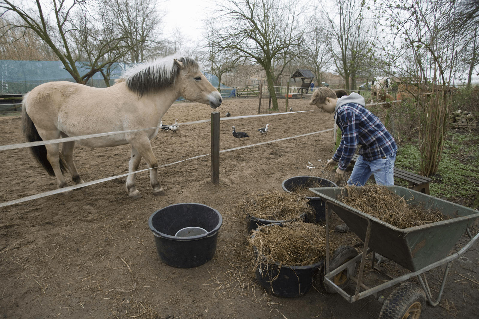 Een cliënt verzorgt dieren op een zorgboerderij.<br />Foto: Koos Groenewold