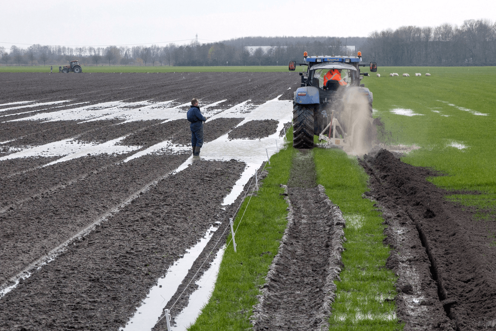 Boeren niet op tilt door 'vroeg voorjaar'