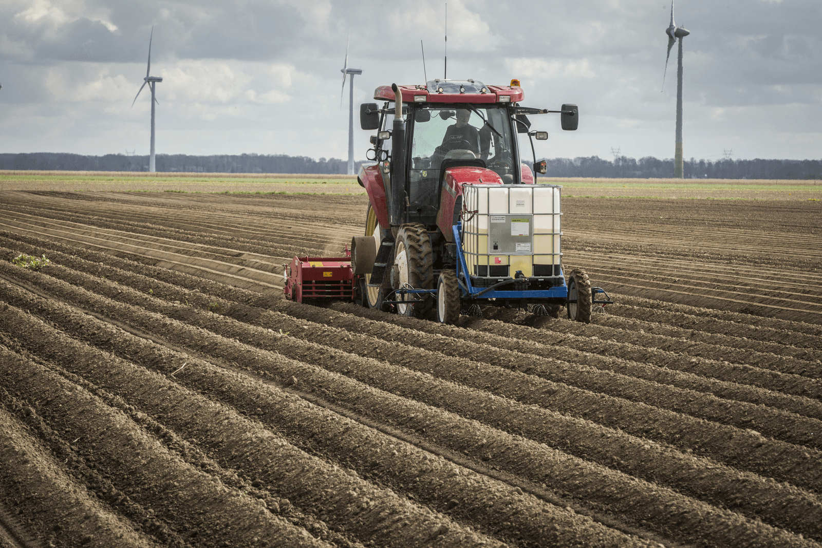 Foto: Koos Groenewold