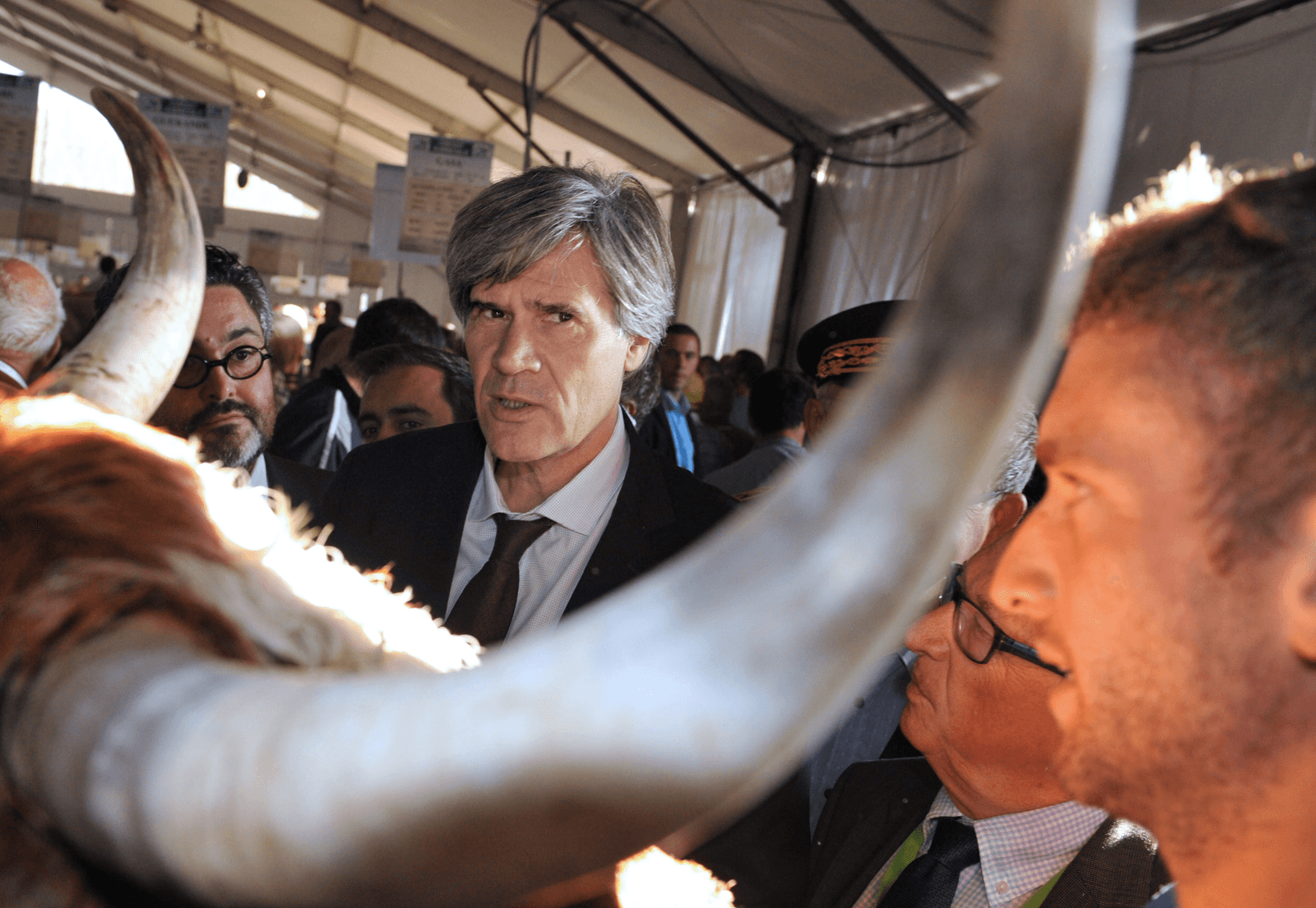 Landbouwminister Stéphane le Foll. Foto: ANP
