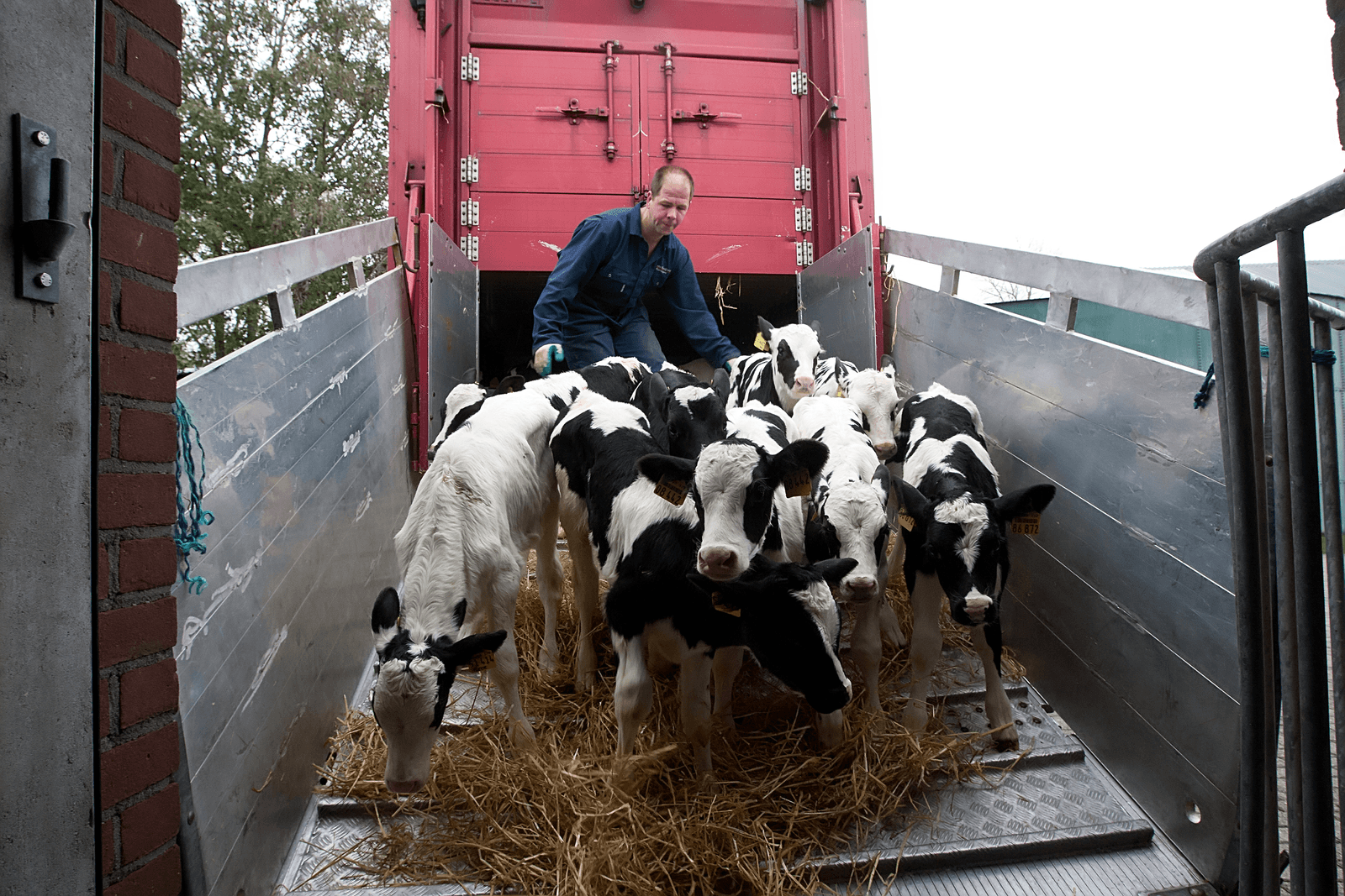 Import nuka's daalt en meeste komen uit buurlanden