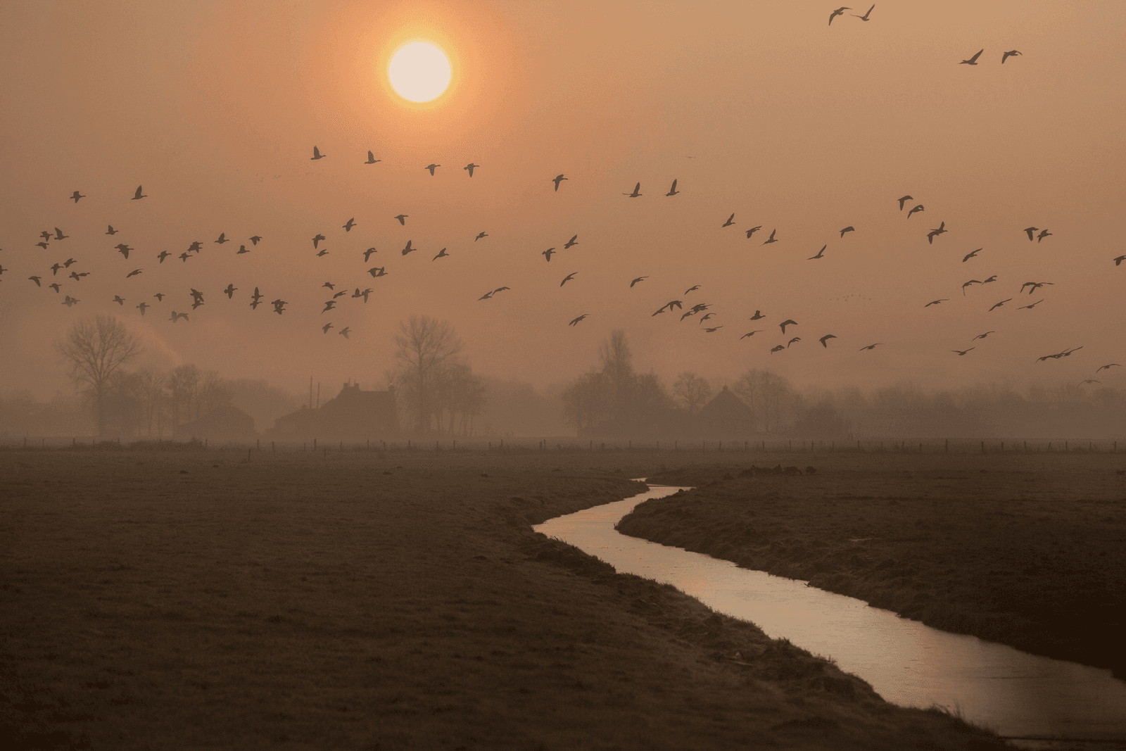 Foto: Koos Groenewold