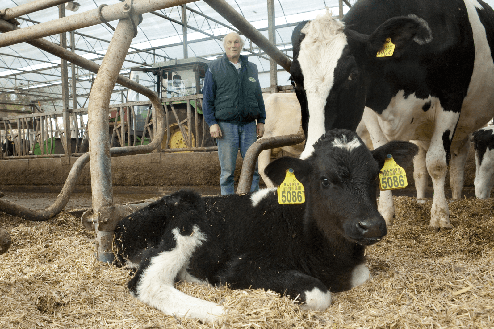 Foto: Koos Groenewold