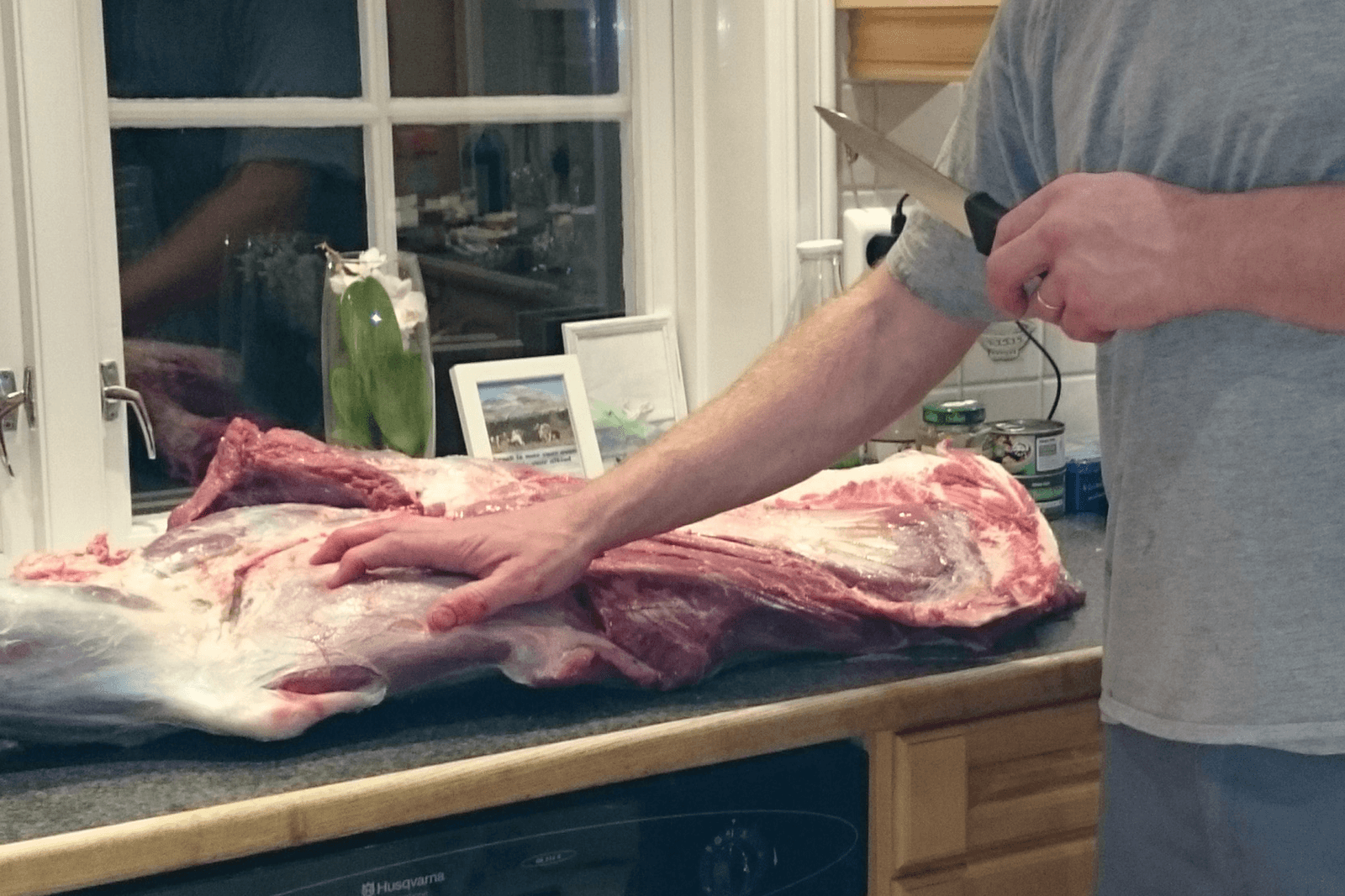 Verhuizing (4): Eland op menu dankzij jagende buren
