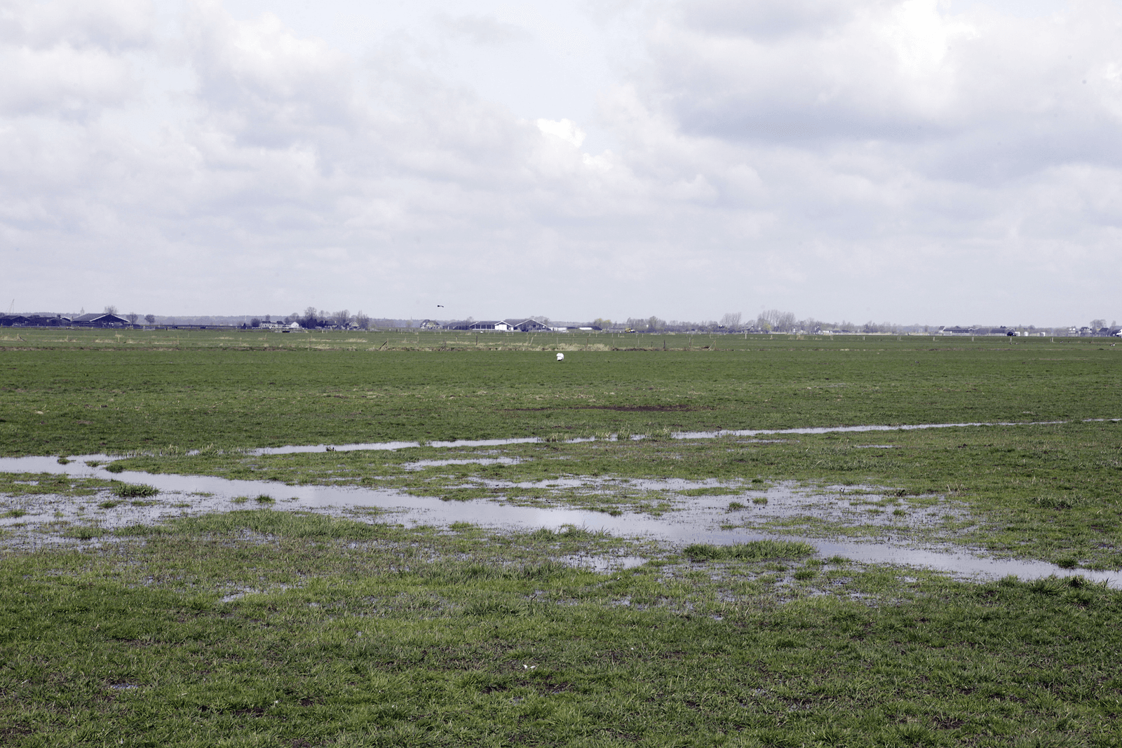 Foto: Ton Kastermans Fotografie