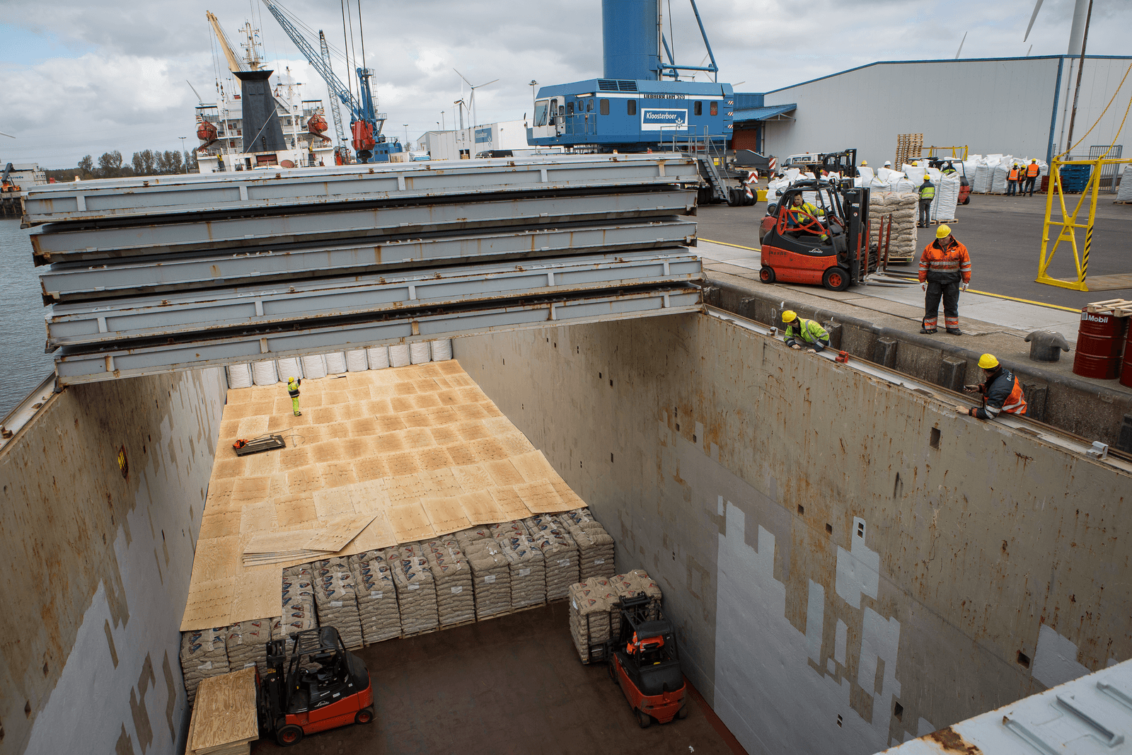 Pootaardappelen worden in de haven van Vlissingen geladen in een vrachtschip. Foto: Peter Roek