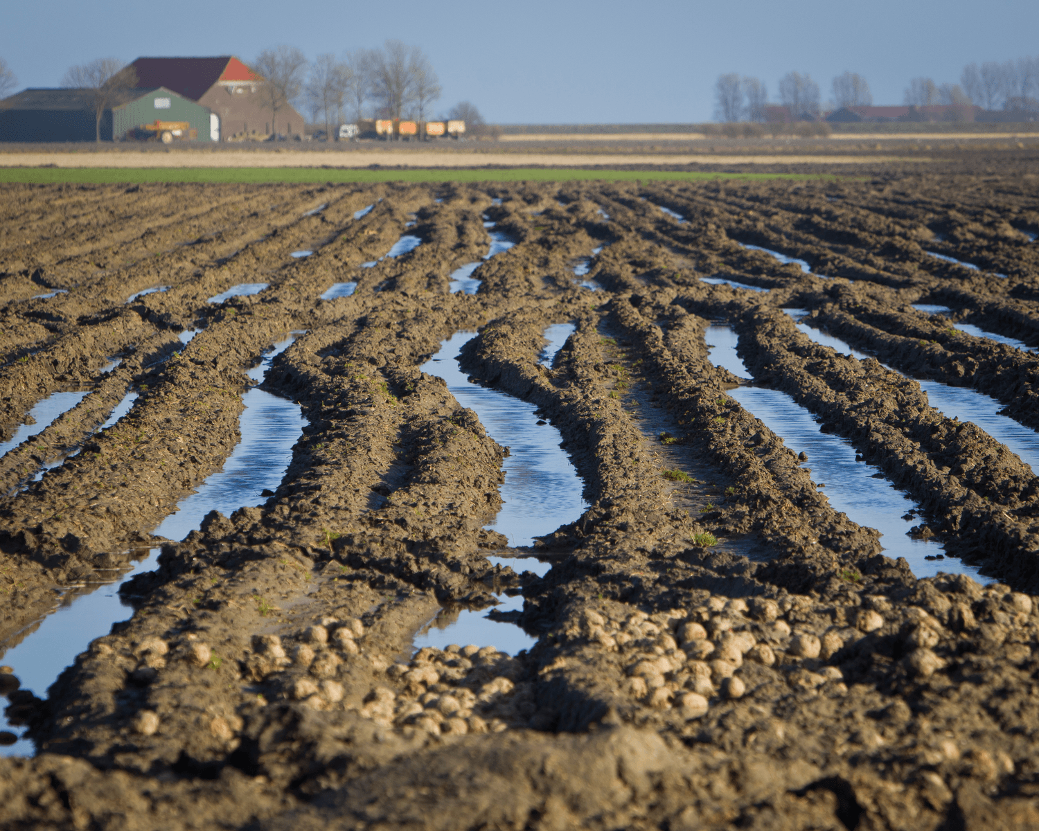NAV ageert tegen plan voor hoger waterpeil Lauwersmeer