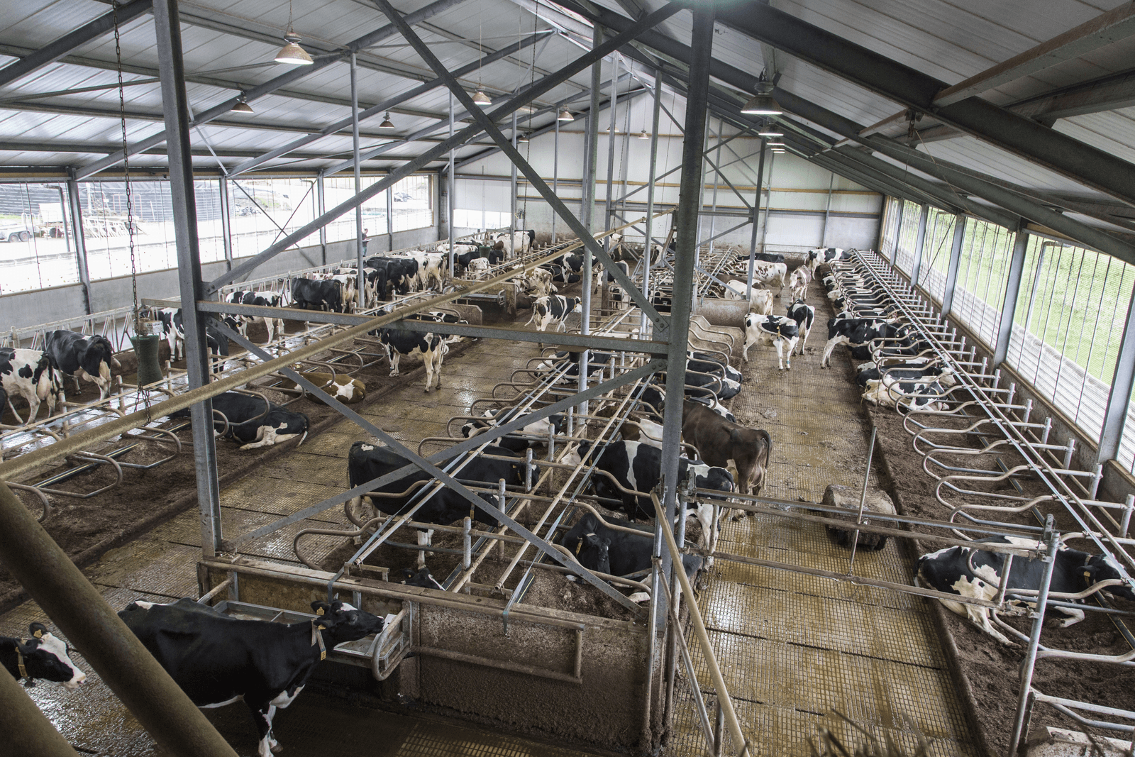 Veel rust en optimaal stalritme