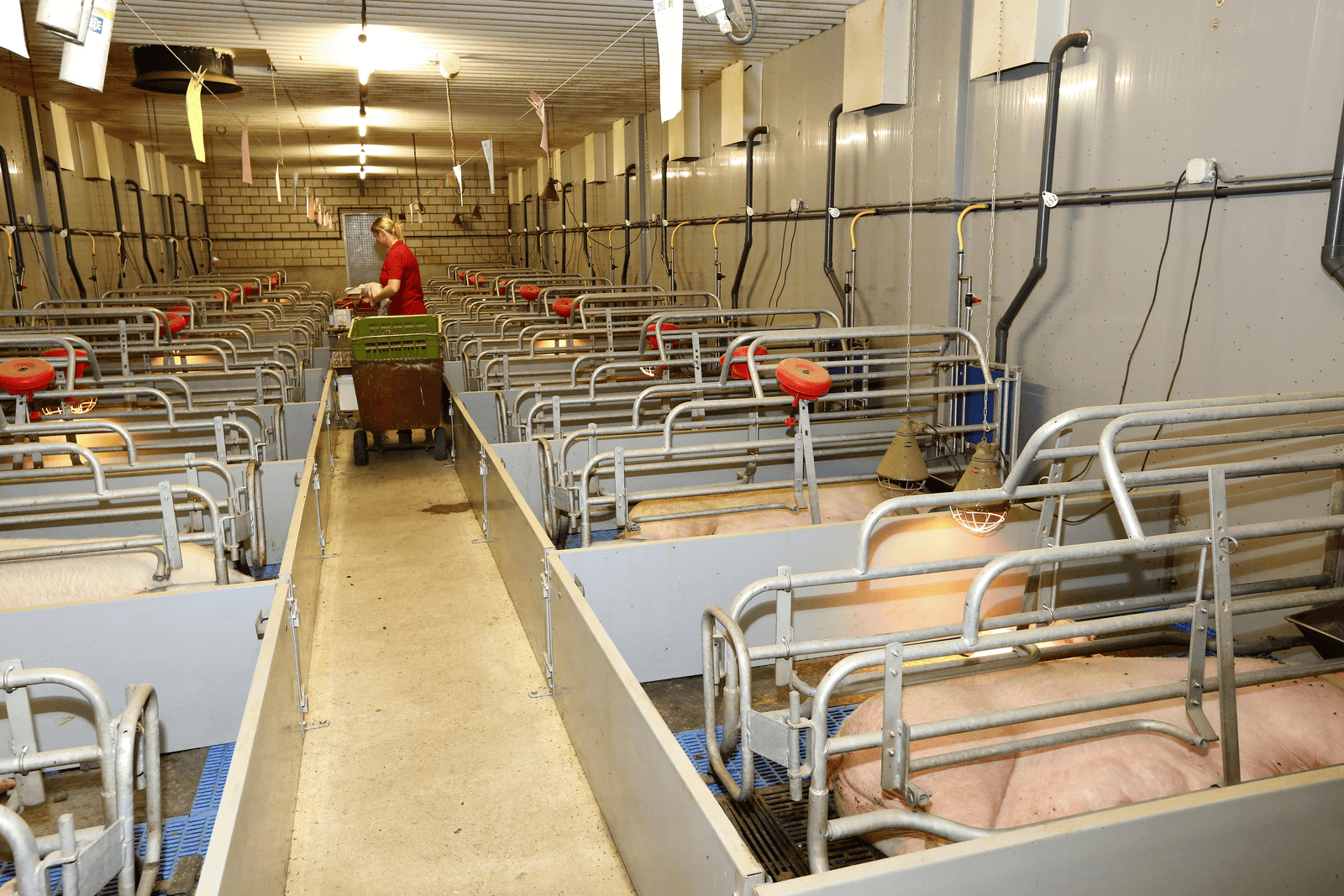 Schoon werken, veel arbeidsbesparing