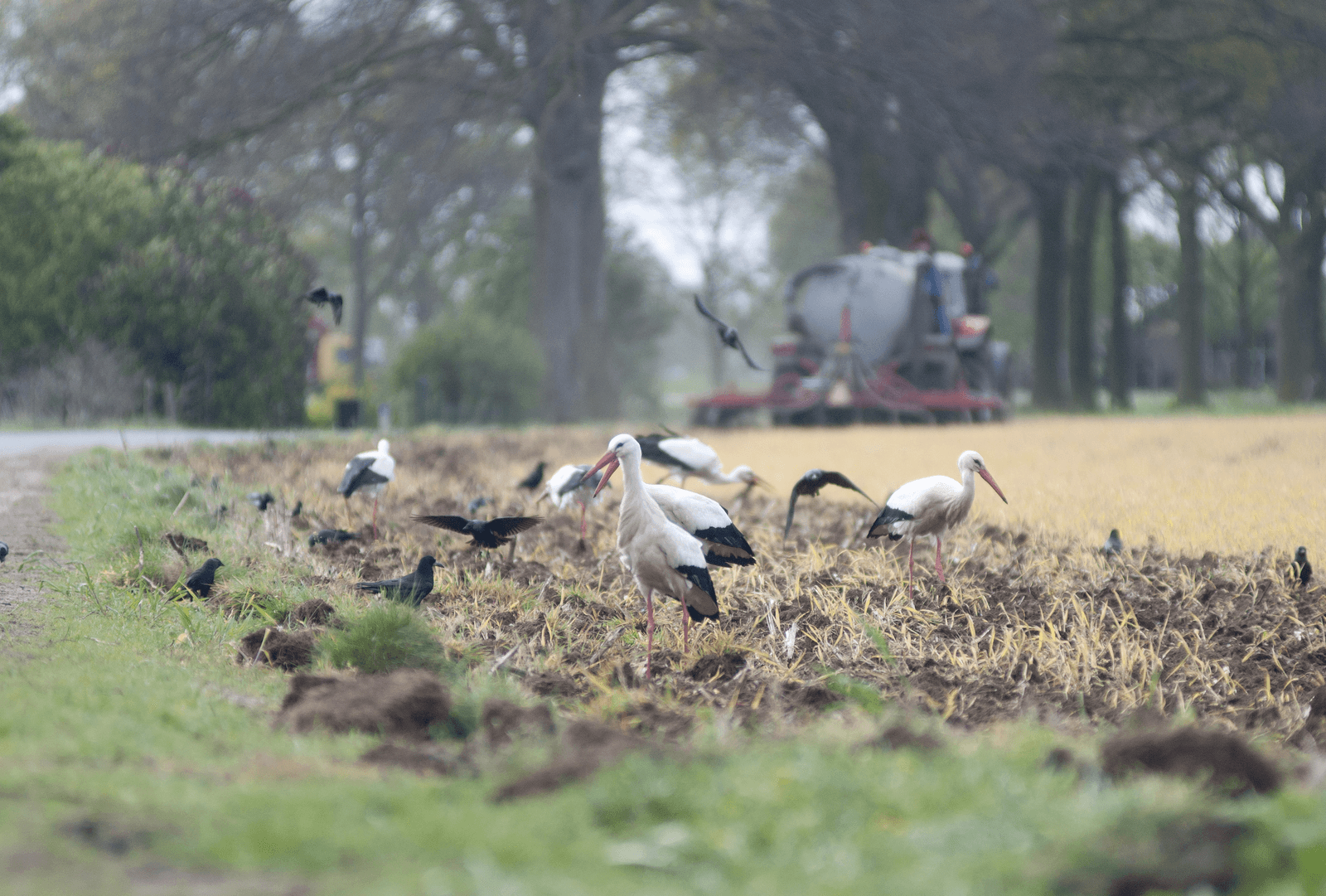 Natuurregels aan herziening toe