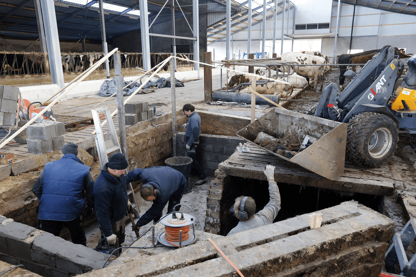 Nok dicht en putten gekoppeld in nieuwe stal