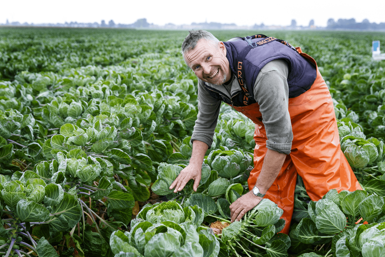 Veel animo voor cursus biologische akkerbouw