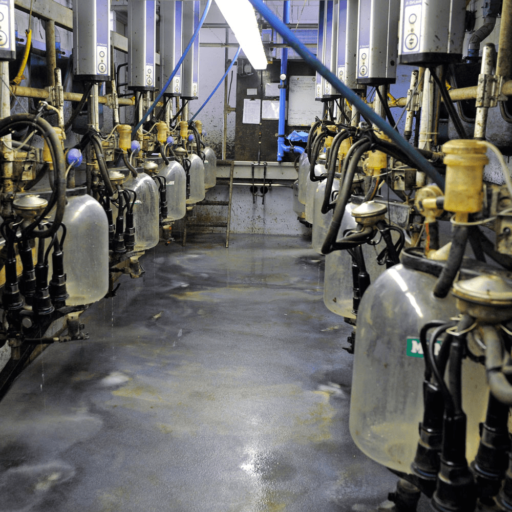 Oeso: quotering verstarde melksector niet