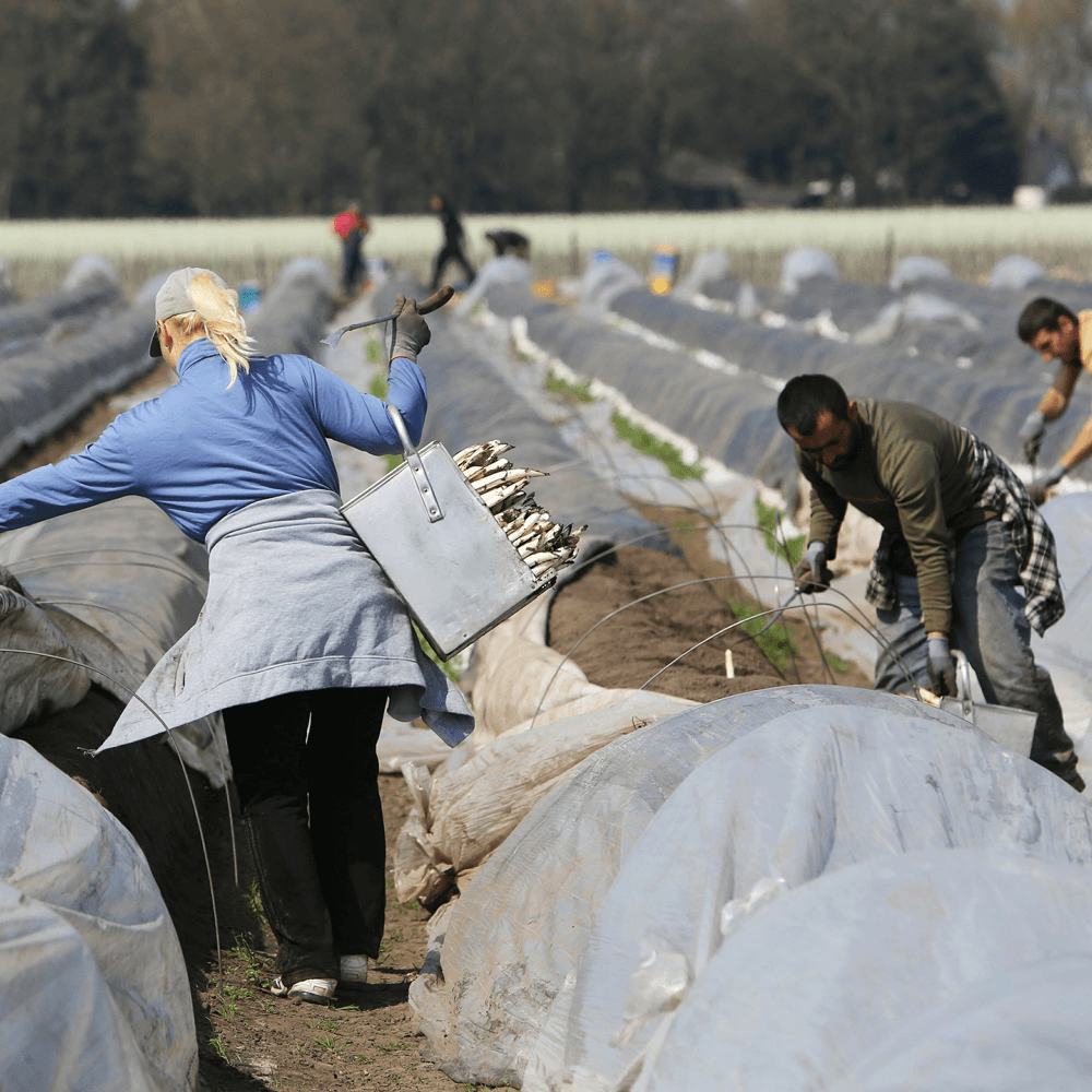 Seizoenswerk: principeakkoord landbouw