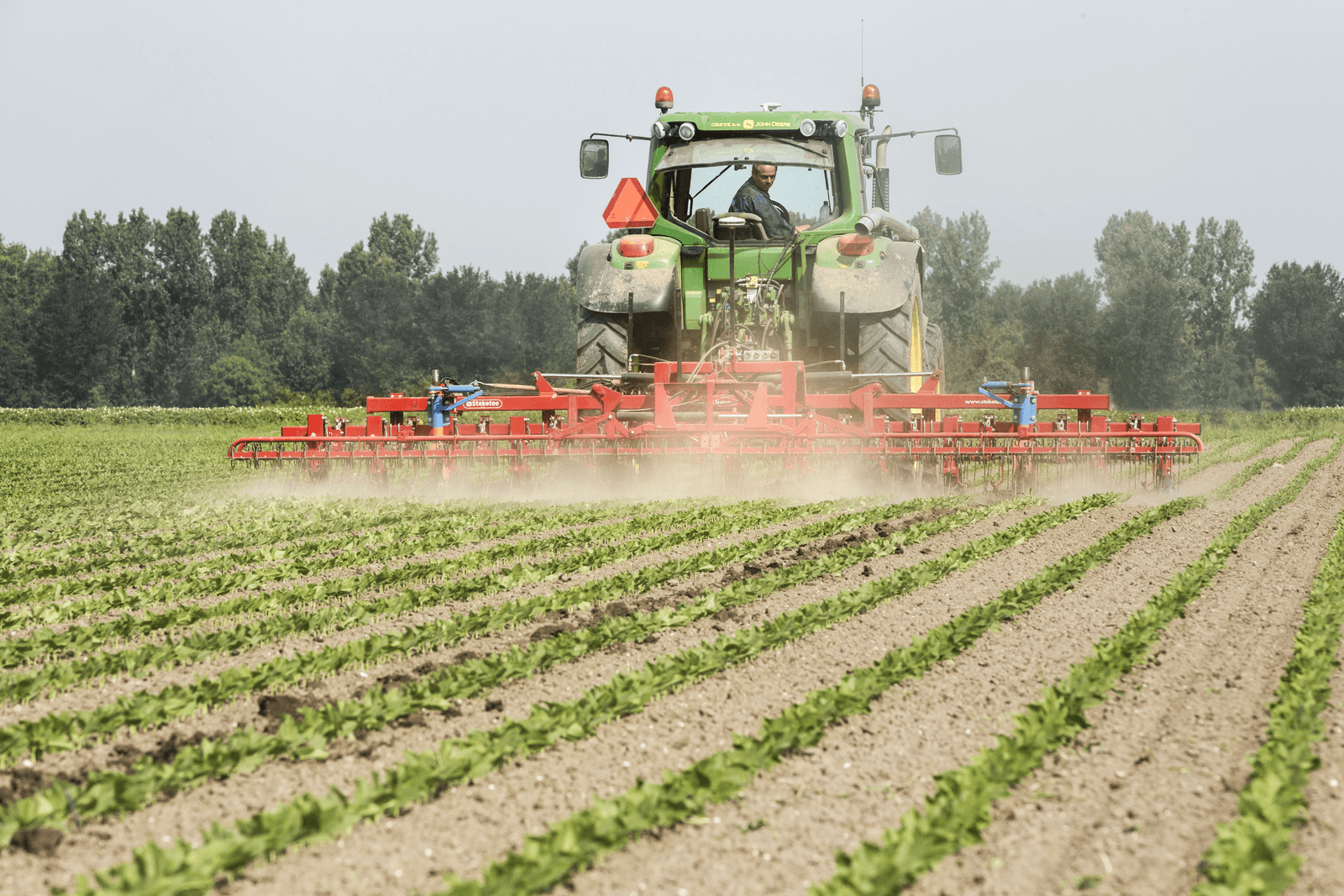 Foto: Koos Groenewold