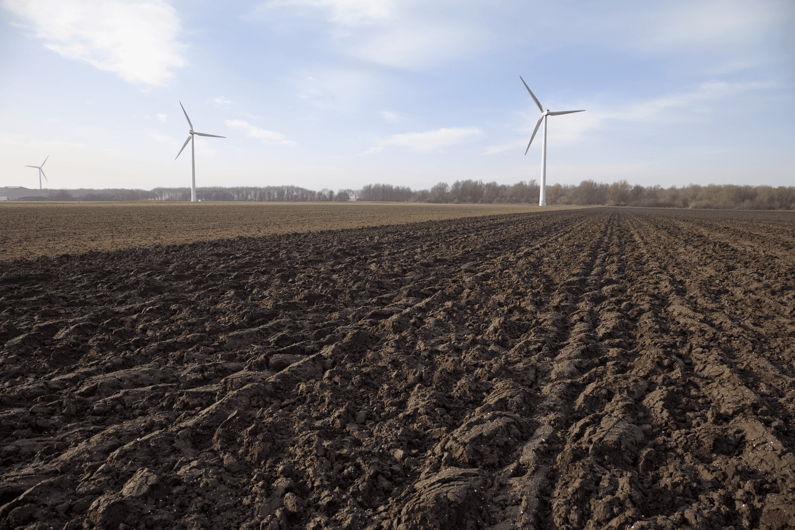 Windmolens naast de stal