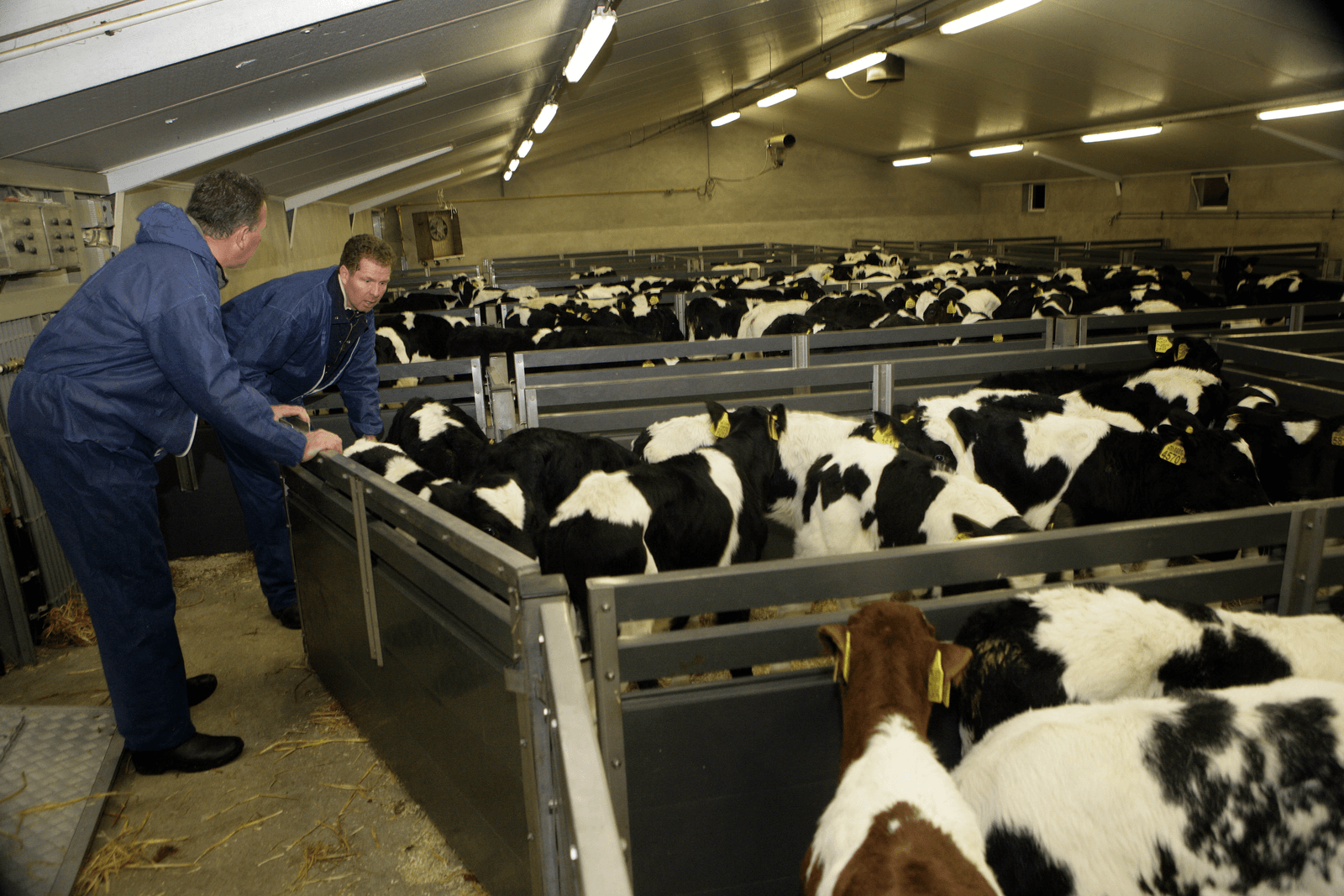 Op verschillende verzamelcentra is geen handel geweest. Foto: Henk Riswick