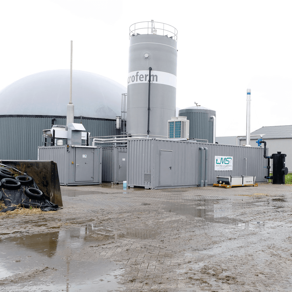 Meer mono-vergisting van mest