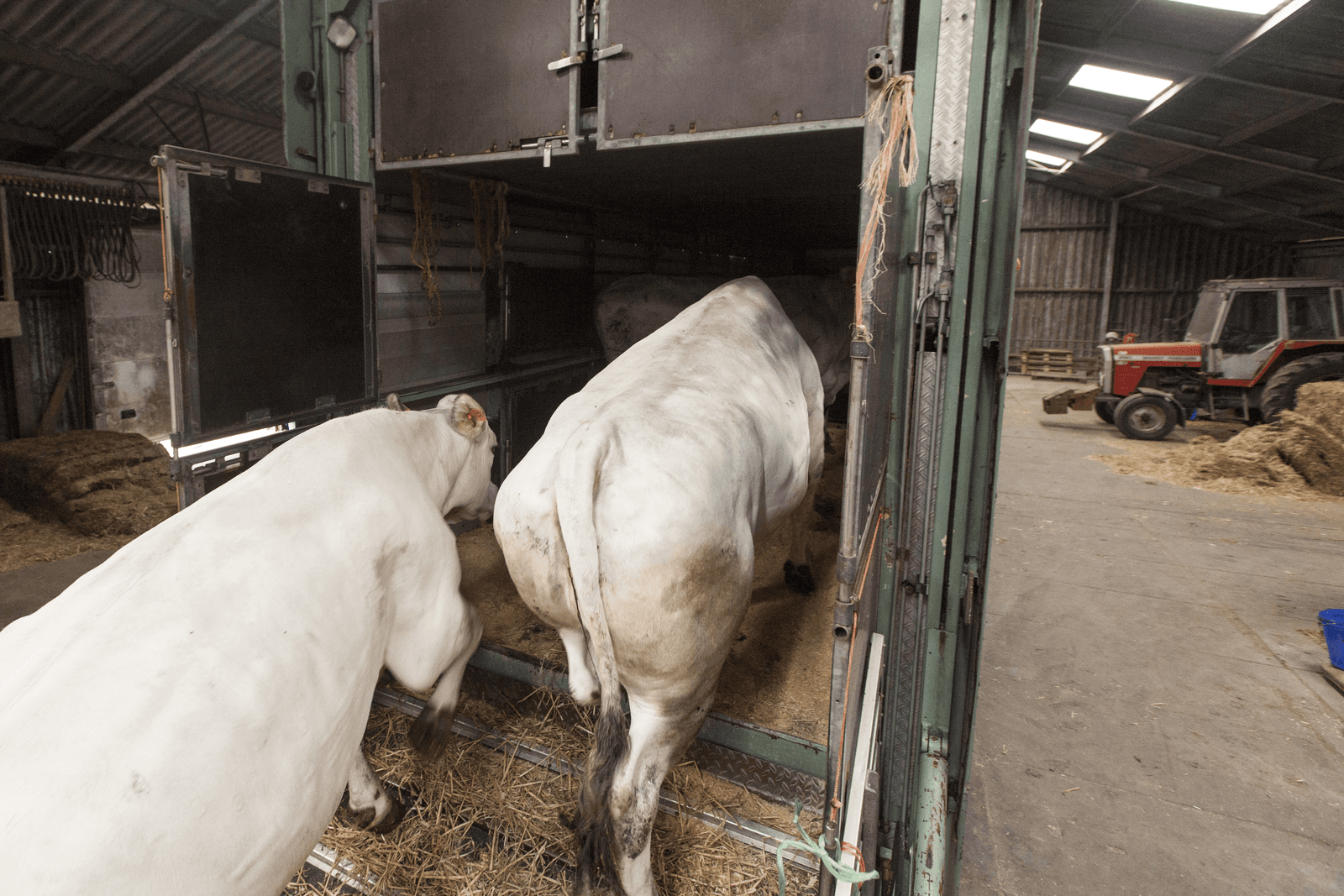 Foto: Koos Groenewold