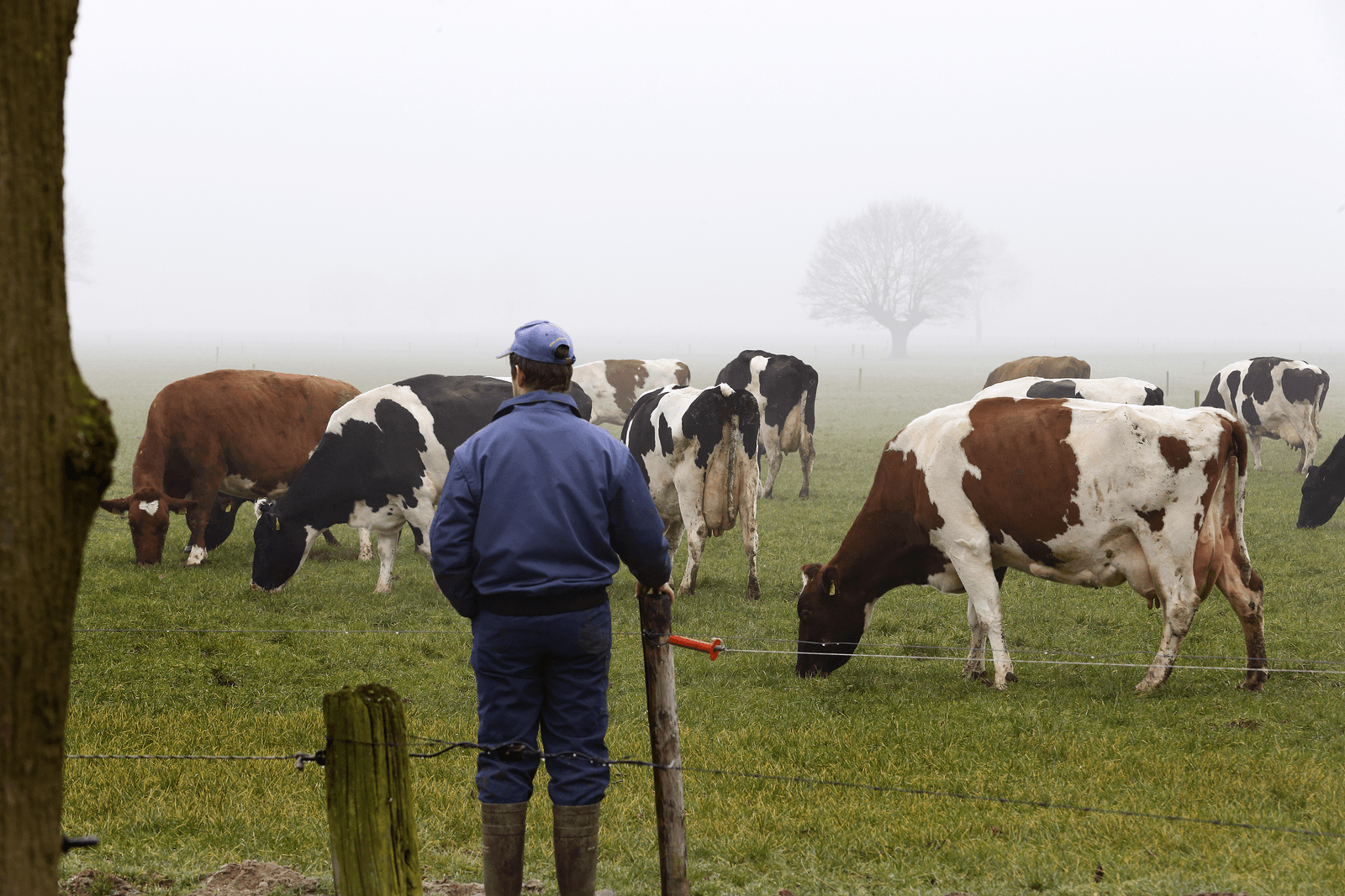 Foto: Hans Prinsen