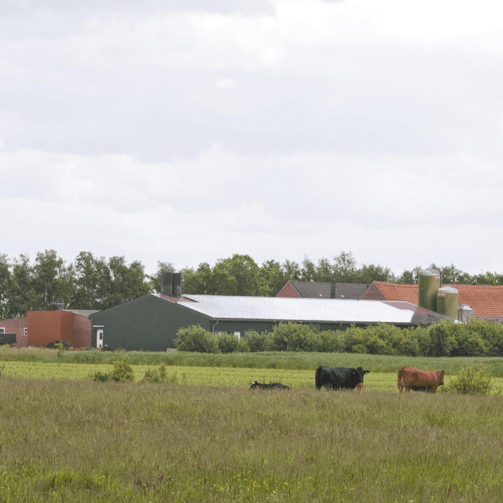 Zwaar ondermaats resultaat 75% Nedersaksische bedrijven