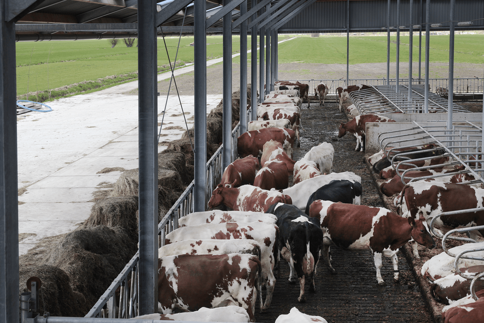 Veel animo voor omschakeling naar bio