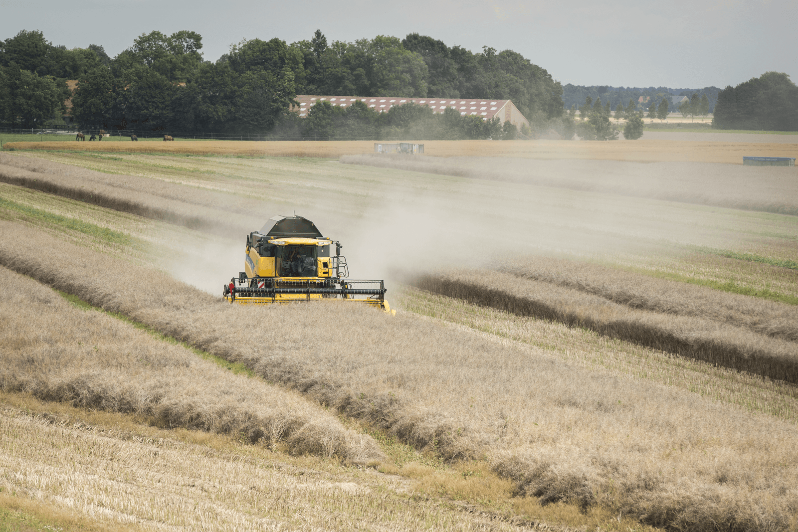 Foto: Koos Groenewold