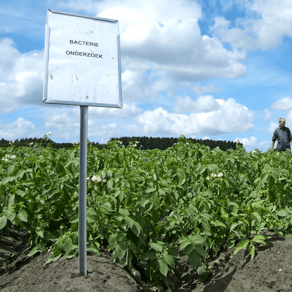 Goed toezicht op AVV akkerbouw