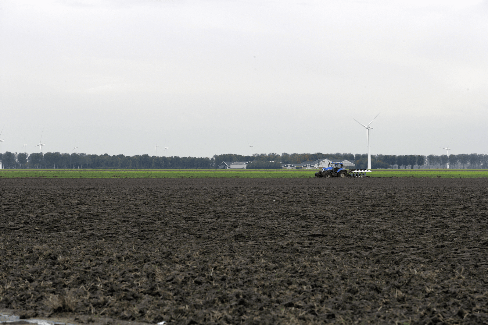 De gemeente Lelystad had voor ruim 20 hectare grond ruim ¬ 4 miljoen voor over. Foto: Henk Riswick
