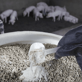 Alarm over nieuwe antibioticaresistentie