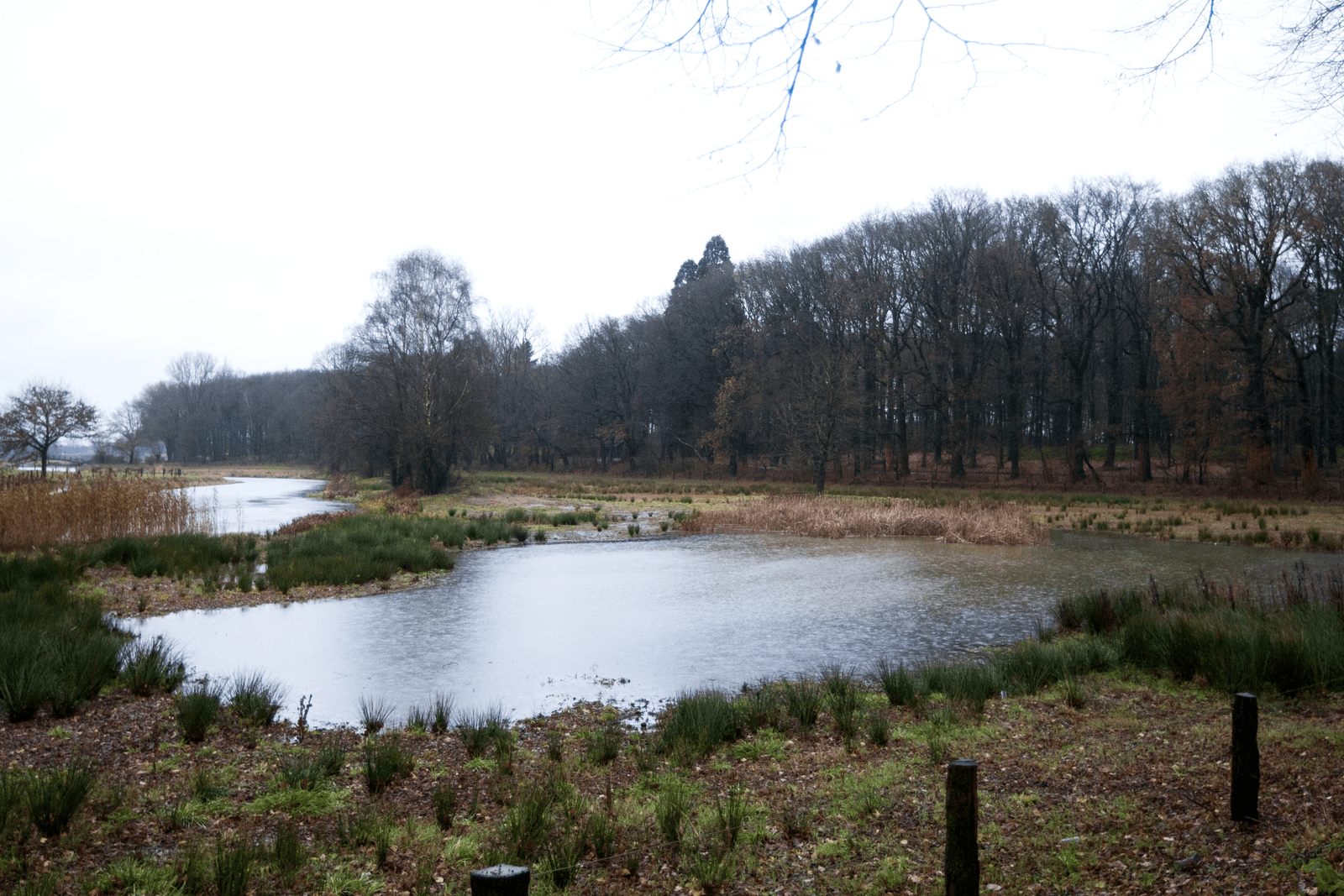 Foto's: Ronald Hissink
